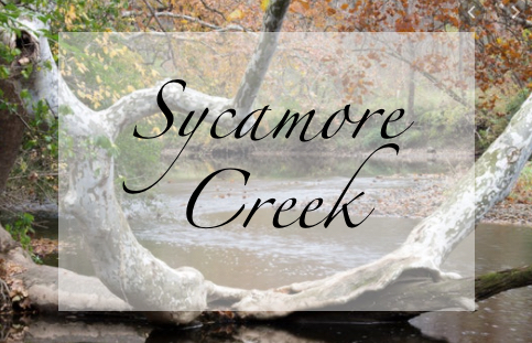 sycamore creek